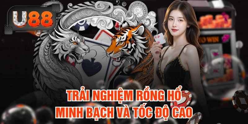 Trải nghiệm Rồng Hổ minh bạch và tốc độ cao